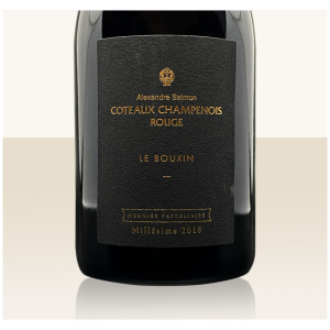 Alexandre Salmon Coteaux Champenois Rouge 2018 - 100% Pinot Meunier Terroir: Chaumuzy – Les Grèves