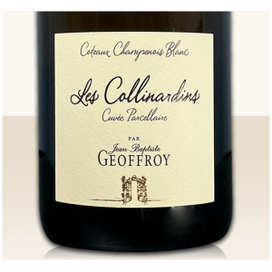 René Geoffroy Coteaux Blanc « Les Collinardins « 2020 - 100% Chardonnay Stillwein
