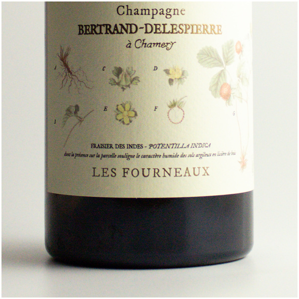 Bertrand-Delespierre Les Fourneaux Coteaux Blanc 2019 - Stillwein