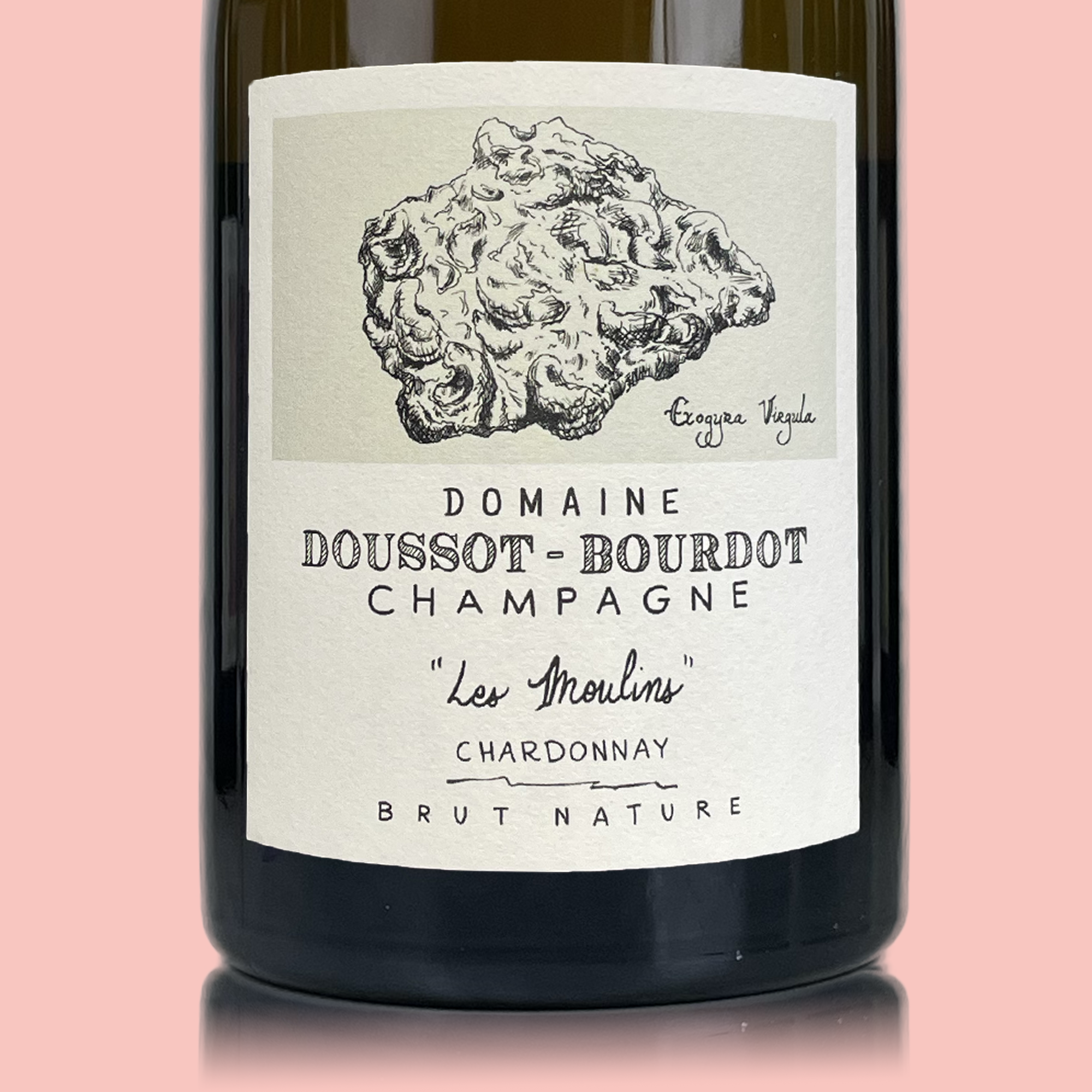 Champagne Doussot-Bourdot Les Moulins Blanc de Blancs 2021
