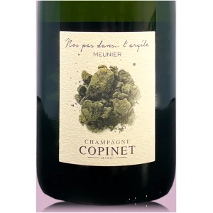 Champagne Marie Copinet Nos Pas Dans... L'argile - Bio