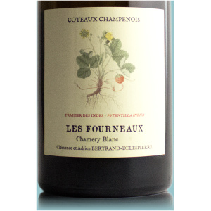Champagne Bertrand-Delespierre Les Fourneaux (Stillwein) Coteaux Blanc 2020