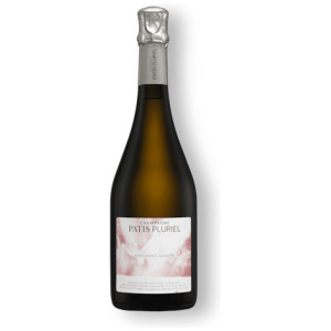 Champagne Patis Pluriel Rose Contact