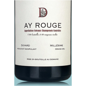 Champagne Doyard Coteaux Champenois Rouge (Stillwein) Aÿ 2022