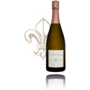 Champagne Philippe Lancelot Les hauts d´Epernay 2018 - Demeter