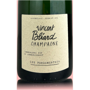 Vincent Bliard Les Fondamentaux - Bio