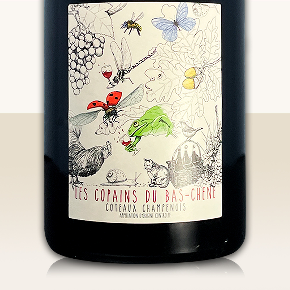 Domaine Laval Coteaux (Stillwein) Champenois Rouge Les Copains du Bas Chêne 2020