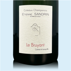 Etienne Sandrin (Stillwein) Coteaux Champenois Le Bruyant 2023