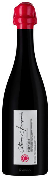 Fleury (Stillwein) Coteaux Champenois Rouge 2019 - Bio