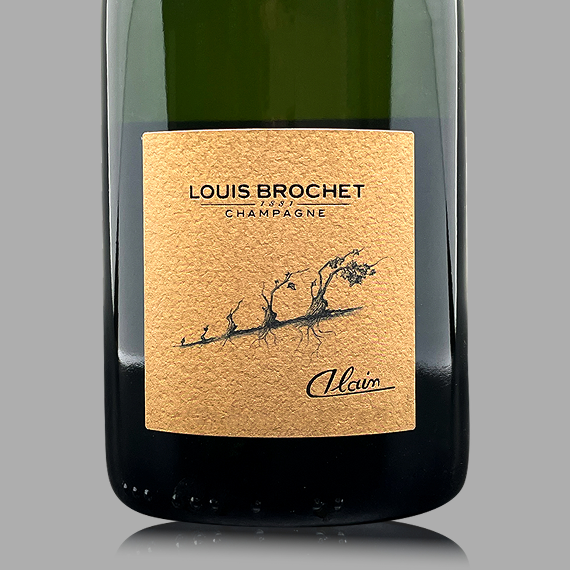 Champagne Louis Brochet Cuvée Alain Millésime 2016 MAGNUM